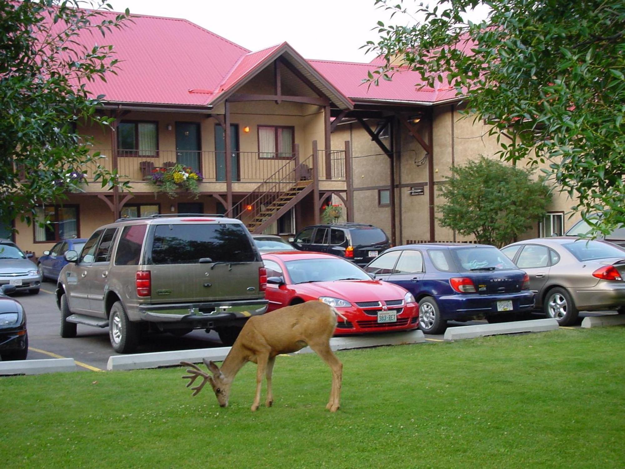 Aspen Village Waterton Park Eksteriør billede